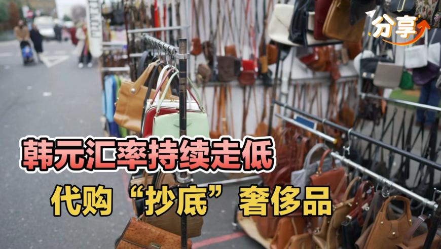 制作人员做无量仙翁时以为是好人,澳门天天彩2025年开奖记录,多元化方案执行策略_工具版V6.66